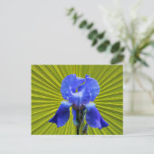 Irisbloem Feestdagenkaart (Staand voorkant)