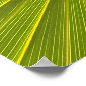 Irisbloem Poster (Hoek)