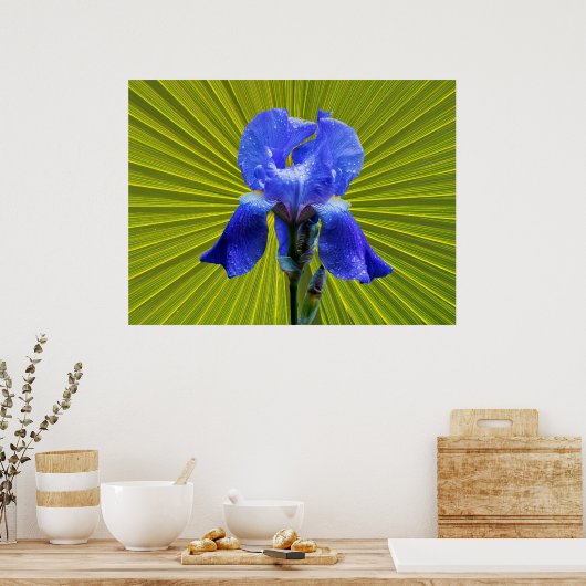Irisbloem Poster (Keuken)