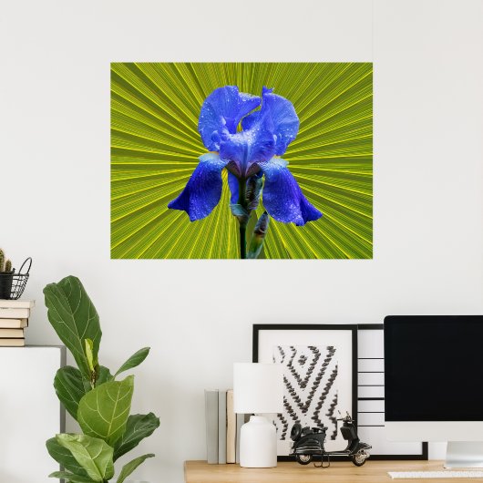 Irisbloem Poster (Thuiskantoor)