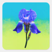 Irisbloem Vierkante Sticker (Voorkant)