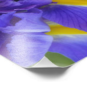 Irisbloemen Foto Afdruk (Hoek)