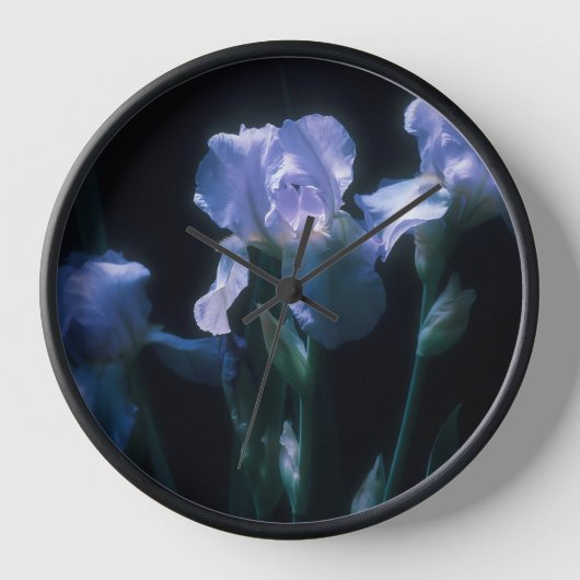 Irisbloemen in de schemering (Voorkant)