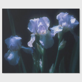 Irisbloemen in de schemering cadeaupapier