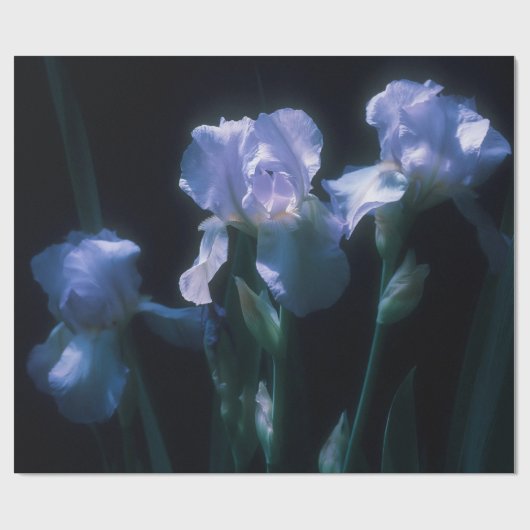 Irisbloemen in de schemering cadeaupapier (Vlak)