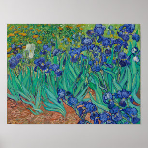 Irisbloemen van Vincent van Gogh Poster