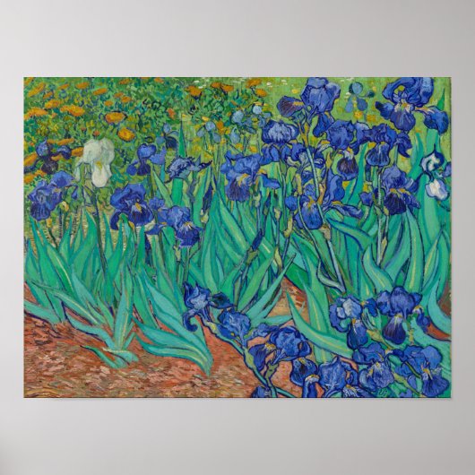 Irisbloemen van Vincent van Gogh Poster (Voorkant)