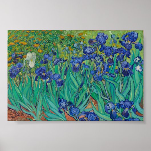 Irisbloemen van Vincent van Gogh Poster (Voorkant)