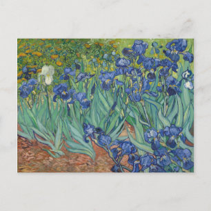 Irise Blue Green Yellow Van Gogh Briefkaart