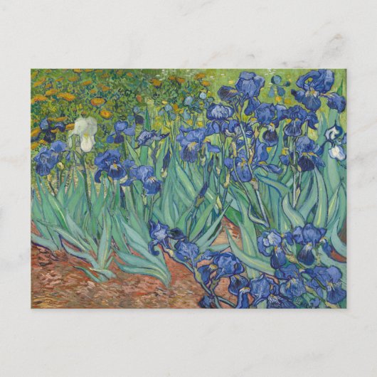 Irise Blue Green Yellow Van Gogh Briefkaart (Voorkant)