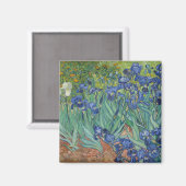 Irise Blue Green Yellow Van Gogh Magneet (Voorkant / Achterkant)