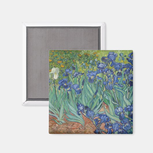 Irise Blue Green Yellow Van Gogh Magneet (Voorkant / Achterkant)