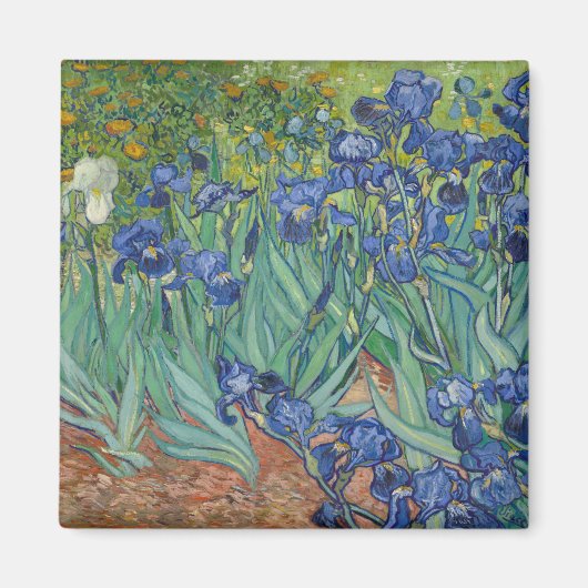 Irise Blue Green Yellow Van Gogh Magneet (Voorkant)