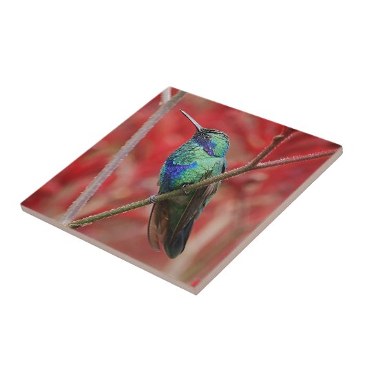 Iriserend glans tegeltje (Zijkant)