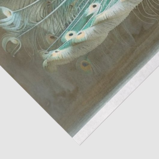 Iriserende gekleurde pauw decoupage tissuepapier (Detail)