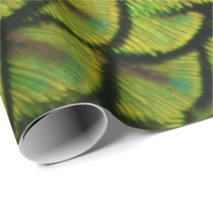 Iriserende groene gele pauwenstaartveren cadeaupapier