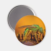 Iriserende groene zweetbijen magneet (Voorkant / Achterkant)