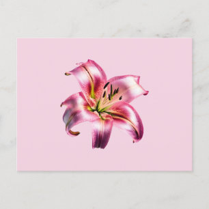 Iriserende Holografische Roze Aziatische Lelie Briefkaart