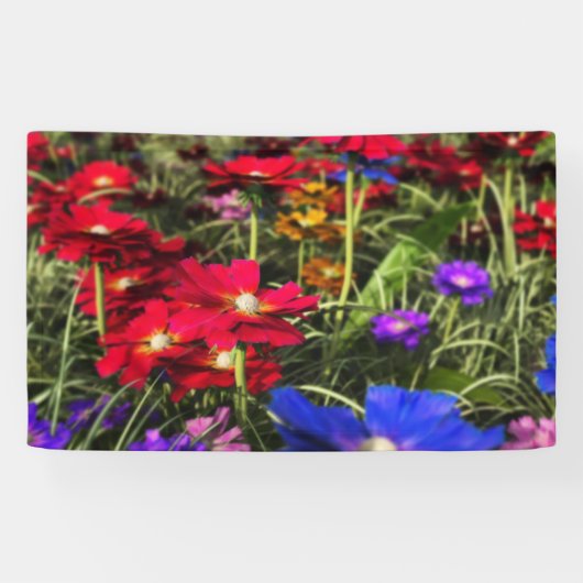 Iriserende lente banner (Horizontaal)