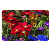 Iriserende lente flexibele magneet (Horizontaal)