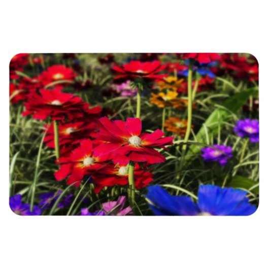 Iriserende lente flexibele magneet (Horizontaal)