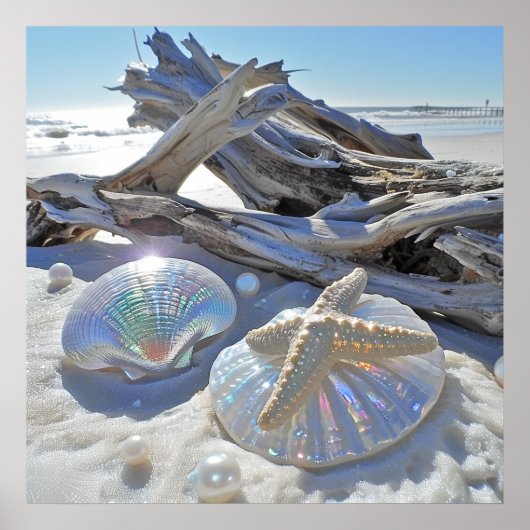 Iriserende schelpen Zeesterren Driftwood Wit Zand Poster (Voorkant)