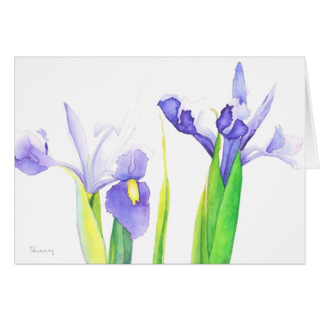 Irises (Voorkant Horizontaal)