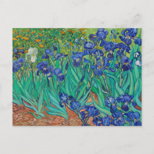 Irises 1889 van Vincent Van Gogh Fine Art Flowers Briefkaart
