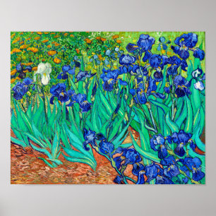Irises (1889) Vincent Van Gogh blue florale tuin Poster