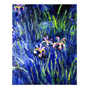 Irises, beroemd bloemschilderij van Claude Monet Foto Afdruk