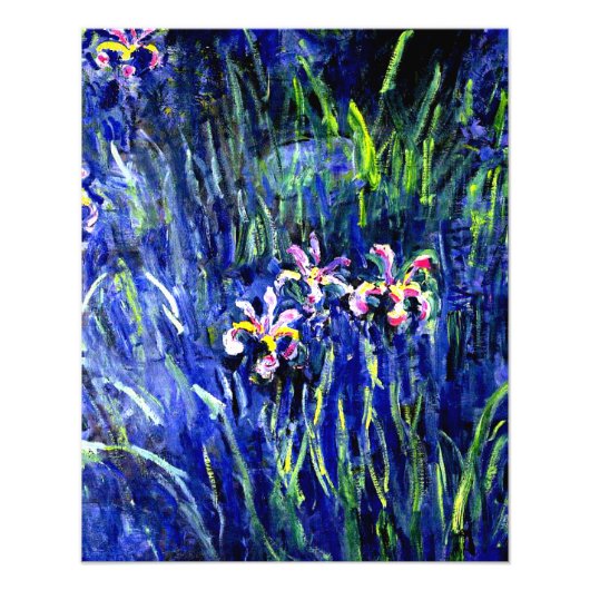 Irises, beroemd bloemschilderij van Claude Monet Foto Afdruk (Voorkant)