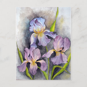 Irises Briefkaart