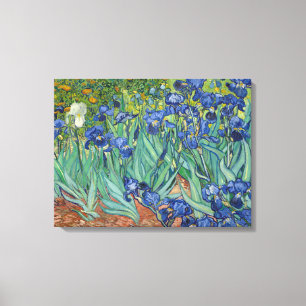 Irises by Van Gogh Wrapped Canvas Afdruk