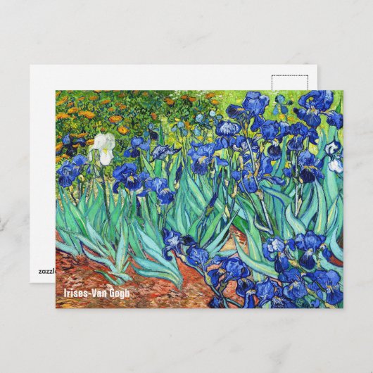 Irises by Vincent Van Gogh Briefkaart (Voorkant / Achterkant)