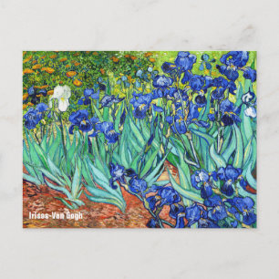 Irises by Vincent Van Gogh Briefkaart