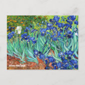 Irises by Vincent Van Gogh Briefkaart (Voorkant)