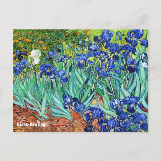 Irises by Vincent Van Gogh Briefkaart (Voorkant)