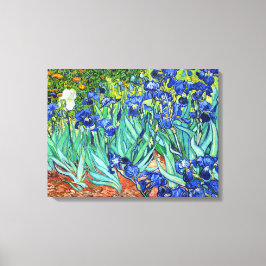 Irises by Vincent Van Gogh Canvas Afdruk