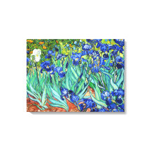 Irises by Vincent Van Gogh
