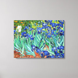 Irises by Vincent Van Gogh Canvas Afdruk