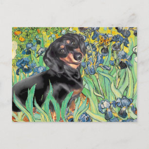 Irises - Dachsund (BT4) Briefkaart