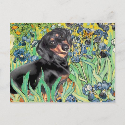 Irises - Dachsund (BT4) Briefkaart (Voorkant)