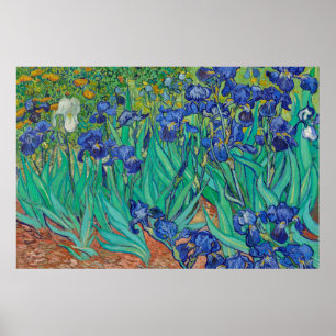Irises door Van Gogh Art Painting Poster