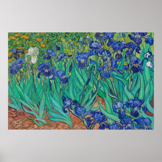 Irises door Van Gogh Art Painting Poster (Voorkant)