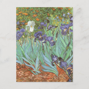 Irises door Vincent van Gogh, Flowers Art Briefkaart
