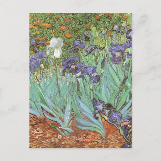 Irises door Vincent van Gogh,  Flowers Art Briefkaart (Voorkant)