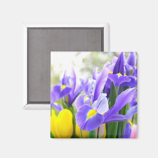 Irises en Tulps Spring Flowers Magneet (Voorkant / Achterkant)