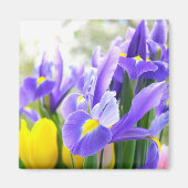 Irises en Tulps Spring Flowers Magneet (Voorkant)