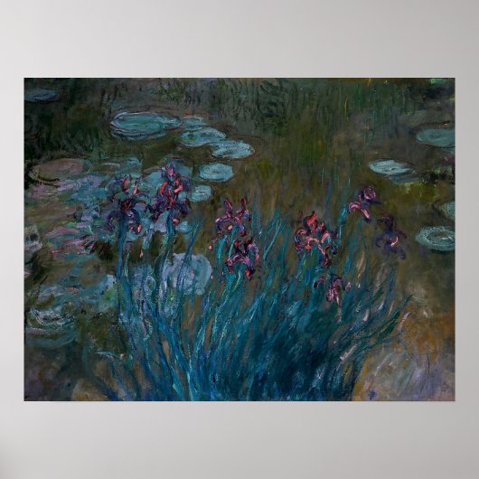 Irises en waterlilies poster (Voorkant)