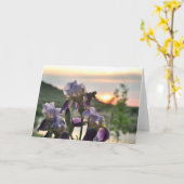 Irises en zonneblanco wenskaart kaart (Gele Bloem)